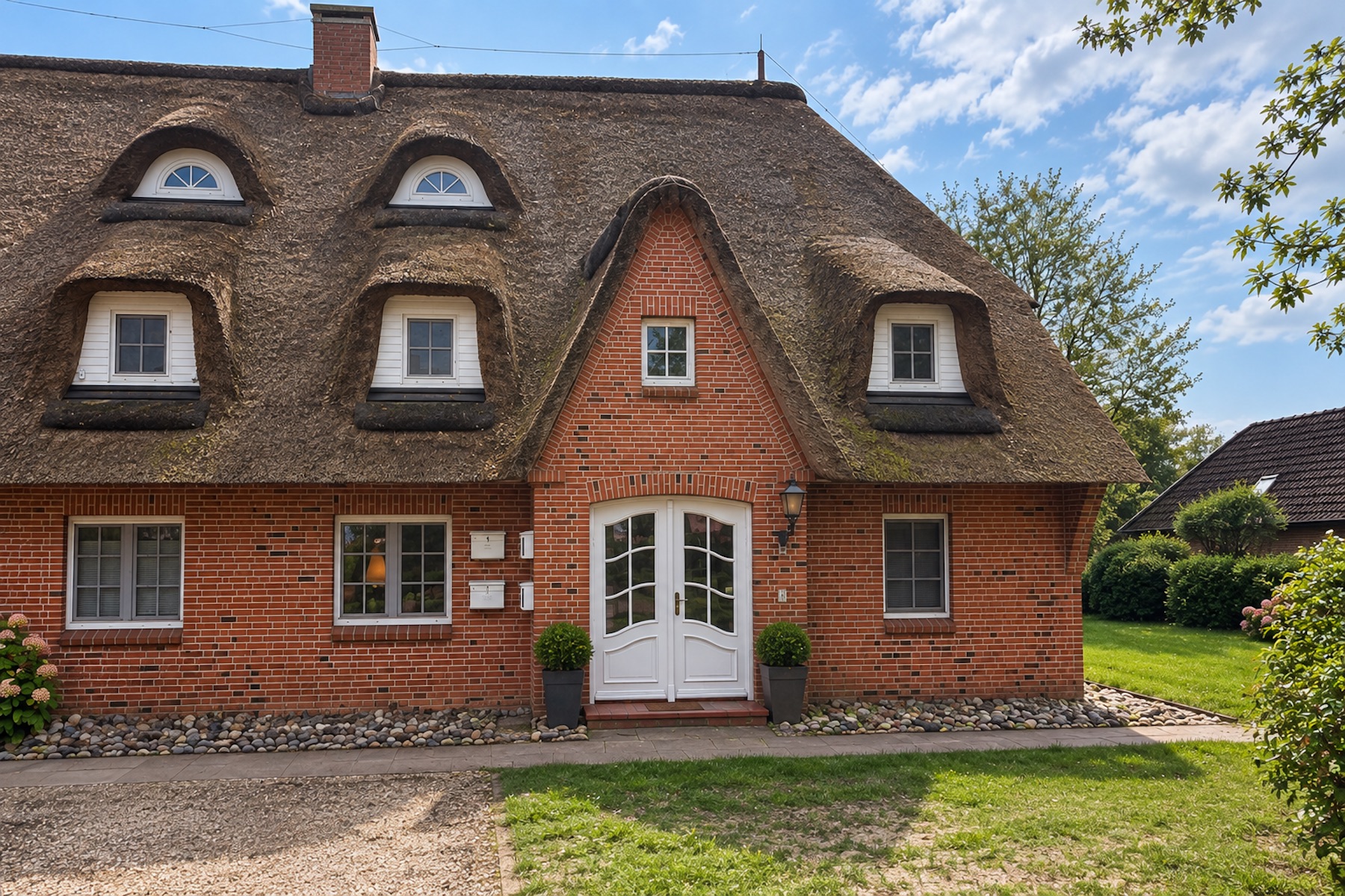 Silbermöwe